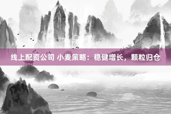 线上配资公司 小麦策略：稳健增长，颗粒归仓
