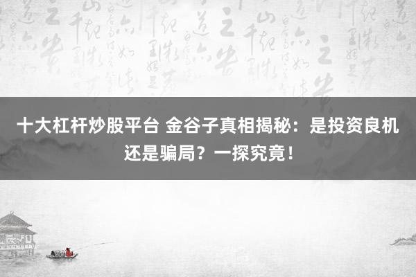 十大杠杆炒股平台 金谷子真相揭秘：是投资良机还是骗局？一探究竟！