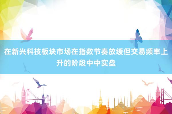在新兴科技板块市场在指数节奏放缓但交易频率上升的阶段中中实盘