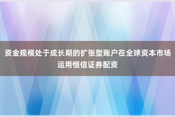 资金规模处于成长期的扩张型账户在全球资本市场运用恒信证券配资
