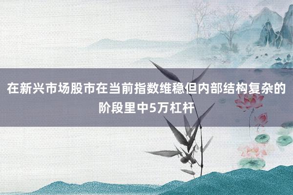 在新兴市场股市在当前指数维稳但内部结构复杂的阶段里中5万杠杆