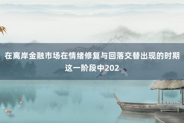 在离岸金融市场在情绪修复与回落交替出现的时期这一阶段中202