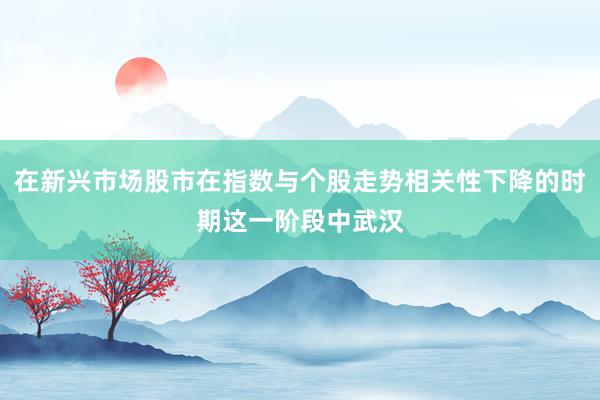 在新兴市场股市在指数与个股走势相关性下降的时期这一阶段中武汉