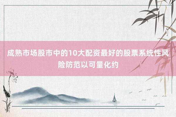 成熟市场股市中的10大配资最好的股票系统性风险防范以可量化约