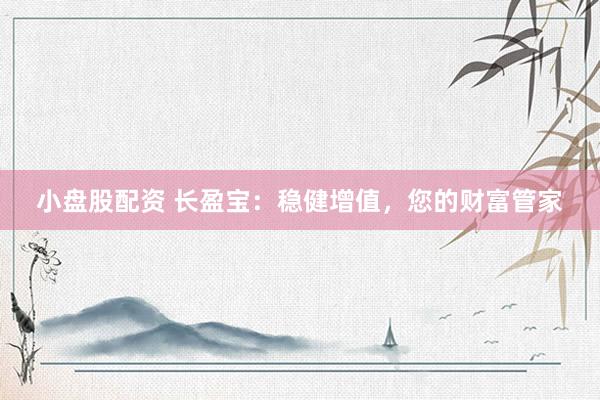 小盘股配资 长盈宝：稳健增值，您的财富管家